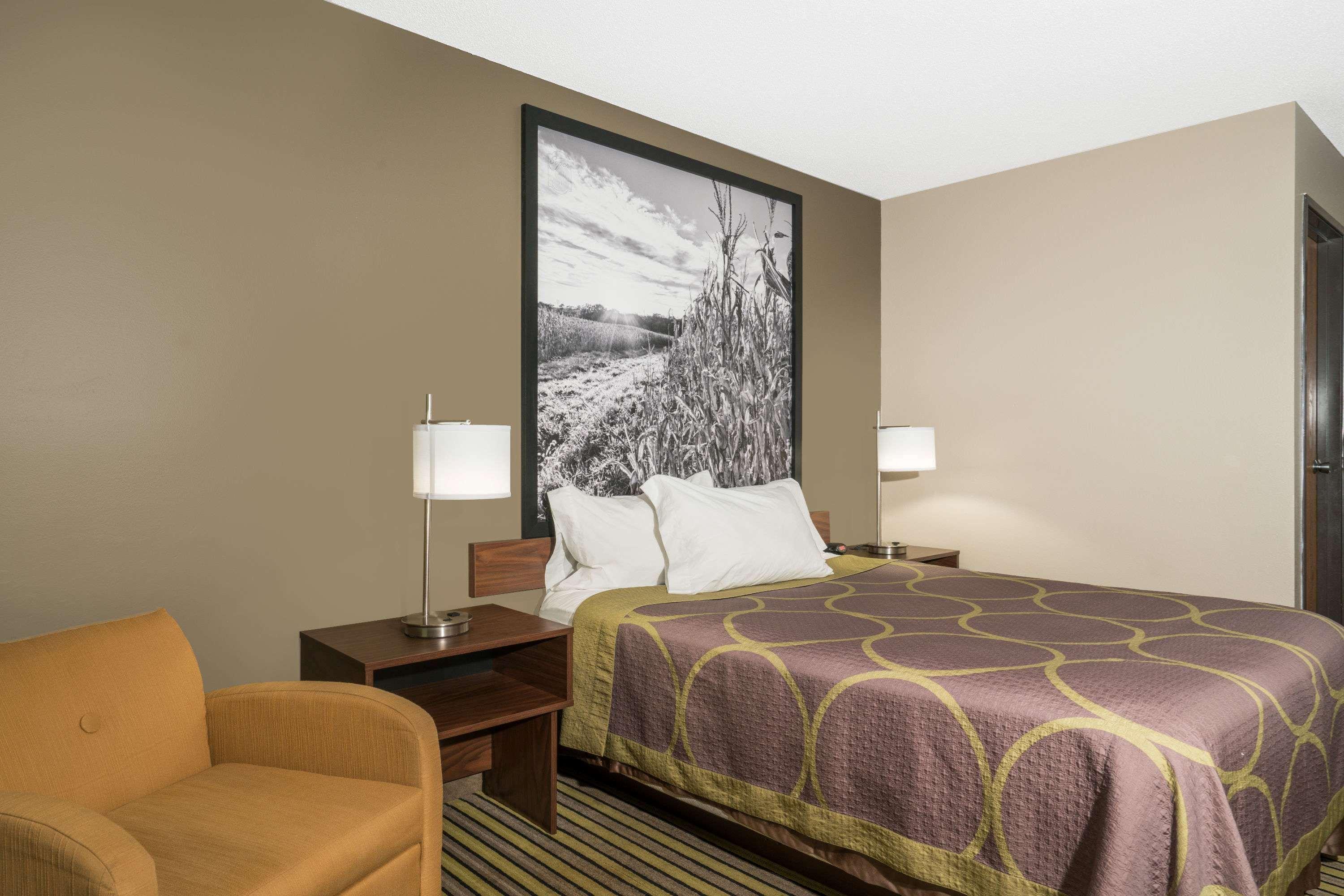 במוטל Super 8 By Wyndham St. Cloud מראה חיצוני תמונה